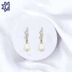 Teardrop Earrings